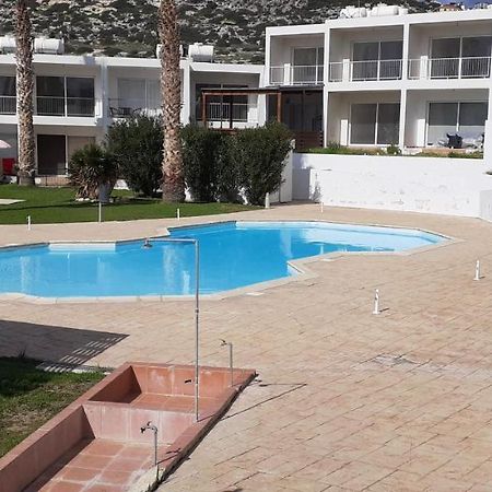 Appartement Akamandos 76 à Peyia Extérieur photo
