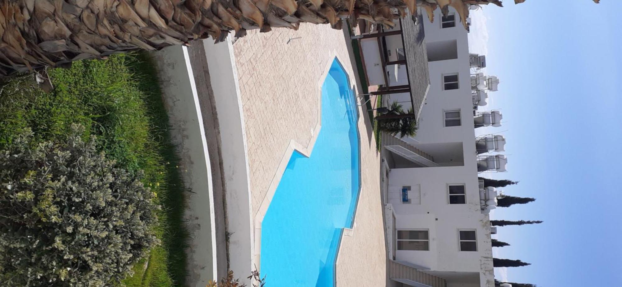 Appartement Akamandos 76 à Peyia Extérieur photo